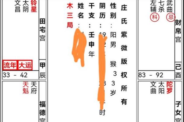 紫薇斗数文昌命宫