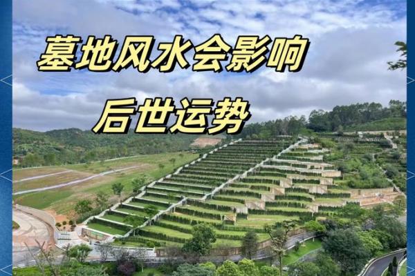 深圳风水_目前中国还有哪些发明