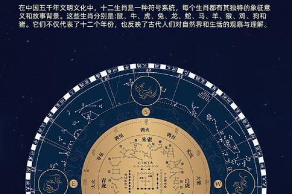 大人如何提升专注力？固定星座都有哪些