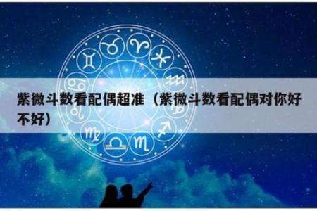 免费测紫薇斗数app