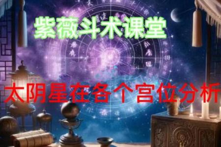 太阴星在斗数中的含义