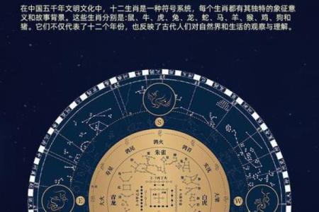 大人如何提升专注力？固定星座都有哪些