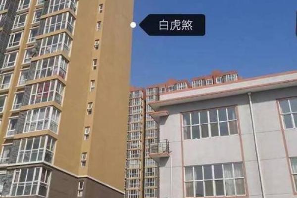 梦见看风水修路