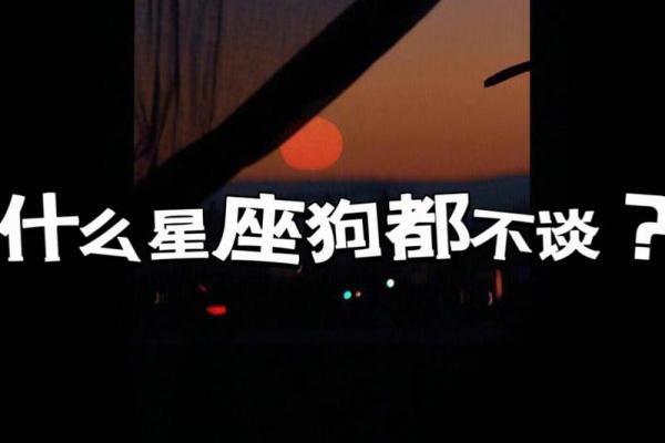 马云的星座是什么？故事、事迹和性格解析