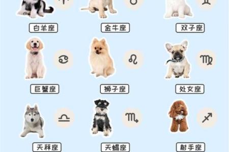 哪种星座的代表动物最好看