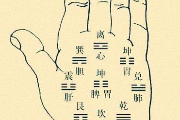 手相指纹算命图解