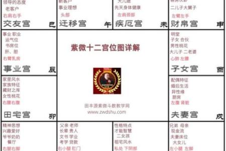 紫微斗数之兄弟宫在寅宫，是什么意思？