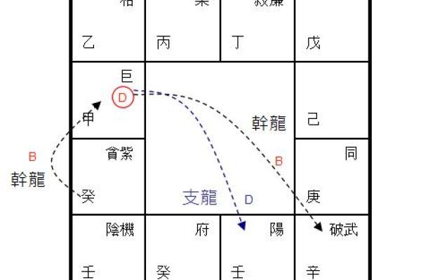 香港紫薇斗数高人