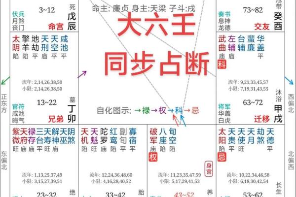 紫微斗数案例42健康：能活到90多岁的命盘