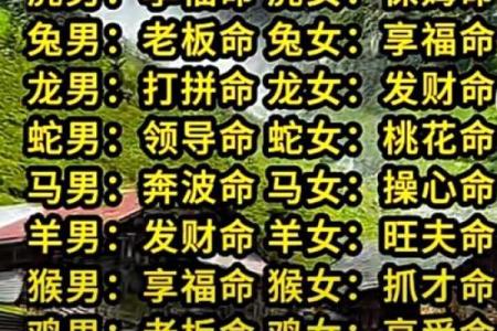 八字离命代表什么