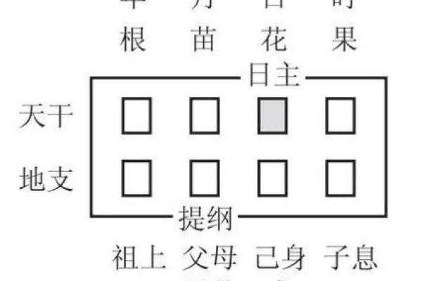 数字算命格式书写 数字算命格式书写