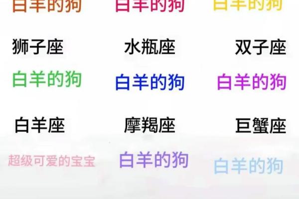 最配白羊座的是哪个星座-最般配的四大星座