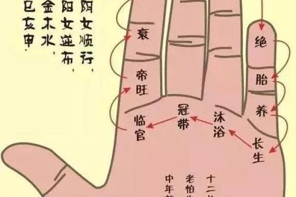 五指长短算命 五指长短算命