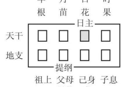 数字算命格式书写
