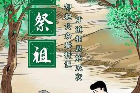 风水上清明节可以理发吗好吗