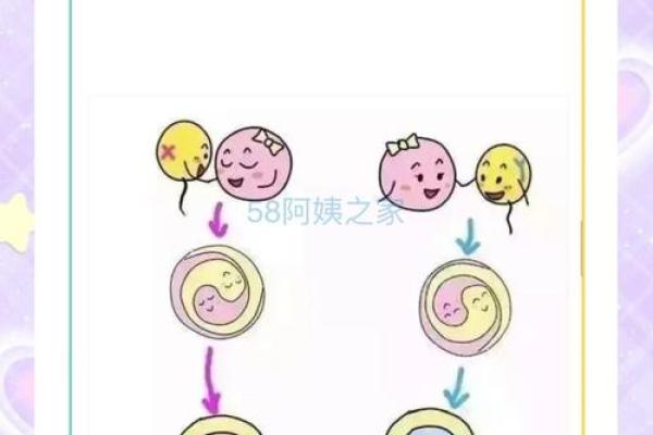 命理分析为何双胞胎八字相同命不同