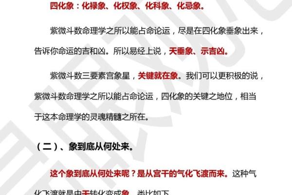 学紫薇斗数心得