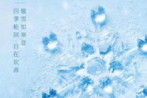 2019年大雪节气出生带雪字取名女孩名字，关于雪的唯美名字姓名