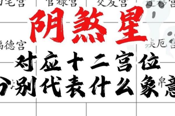 紫微斗数诸星落诸宫之：、其他星福德宫详解