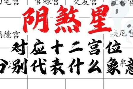 紫微斗数诸星落诸宫之：、其他星福德宫详解