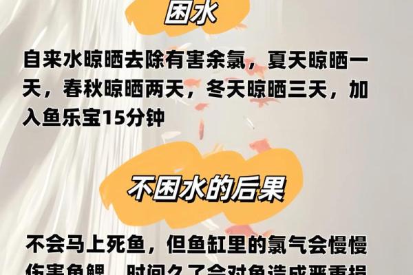 家里养鱼也是有一些风水禁忌的