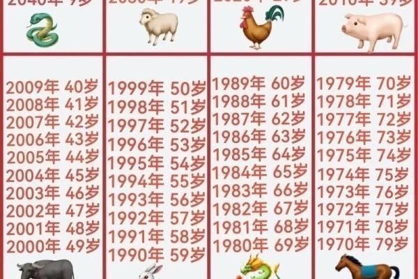 属相算命2024年运势