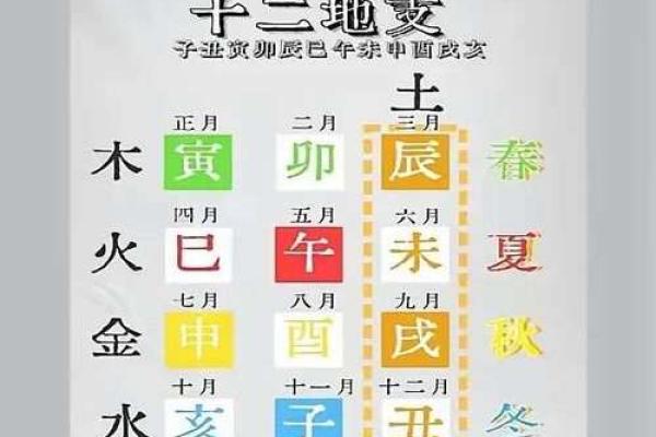 四柱八字基础知识，地支藏干的基本原理