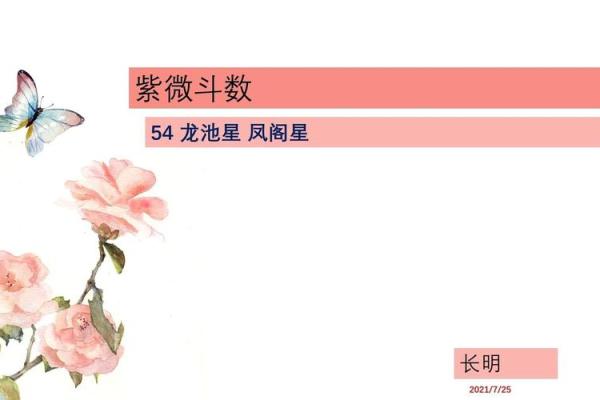 紫薇斗数龙池入命 紫薇斗数龙池入命