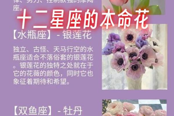 十二星座代表花都有哪些呢