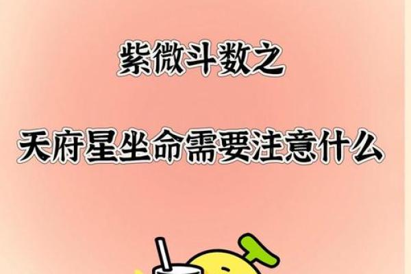 天府星和紫微斗数的联系