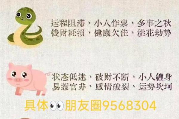 风水12生肖寿命最长的是什么动物是它吗