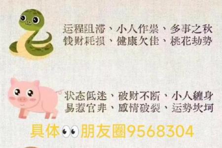 风水12生肖寿命最长的是什么动物是它吗