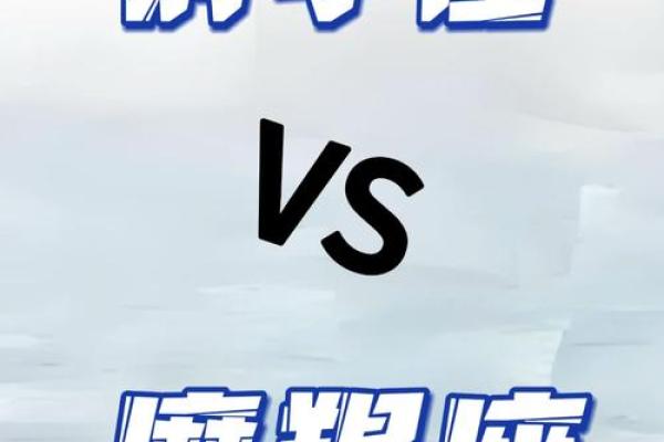 射手和什么星座最适合做闺蜜男朋友