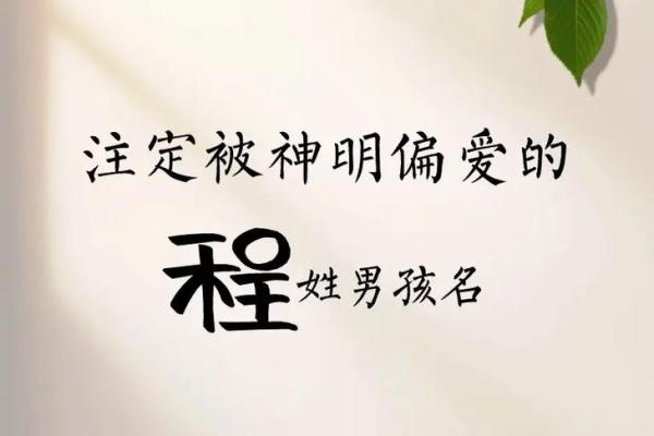 程姓男孩名字大全-程姓男孩起名字大全-程姓名字大全姓名