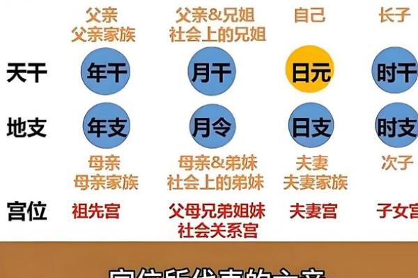四柱八字中的月柱都有哪些含义 四柱八字中的月柱都有哪些含义