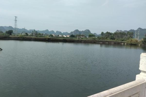 池塘填埋造房子风水