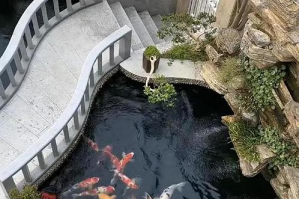 池塘填埋造房子风水