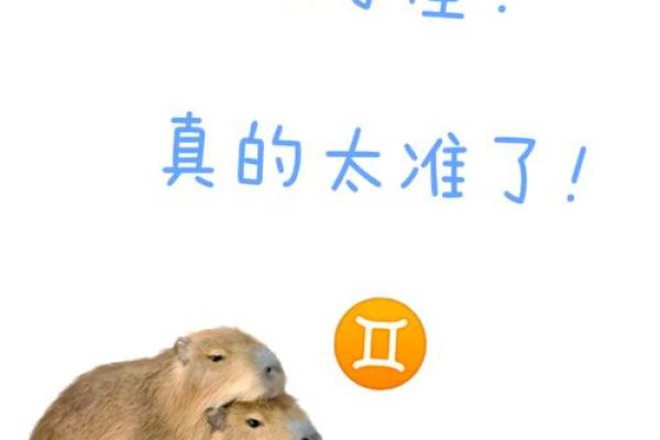 双子座男偏爱什么星座女生 与双子男交往的大忌 双子座男偏爱什么星座女生 与双子男交往的大忌