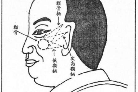 颧骨面相 颧骨面相算命图解