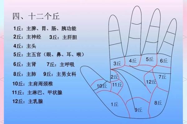 手型算命：土型手人的性格与命运