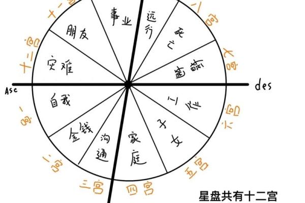 紫薇星盘看天盘还是地盘