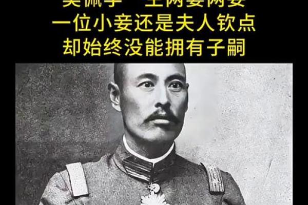 紫薇斗数吴佩孚