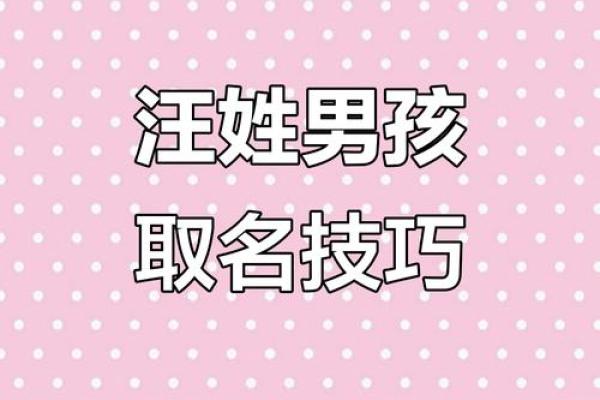 汪姓男孩名字大全-汪姓男孩起名字大全-汪姓名字大全姓名