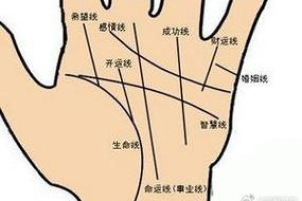 图解:手相希望线算命会得到结果 图解:手相希望线算命会得到结果