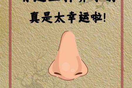 鼻头大的男人面相在风水中有哪些含义