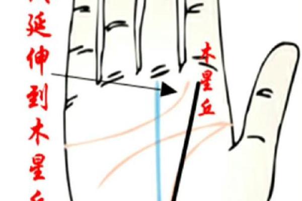 男人左手手纹算命图解婚姻线 感情线预示感情状况 男人左手手纹算命图解婚姻线 感情线预示感情状况