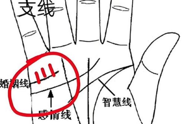 男人左手手纹算命图解婚姻线 感情线预示感情状况 男人左手手纹算命图解婚姻线 感情线预示感情状况