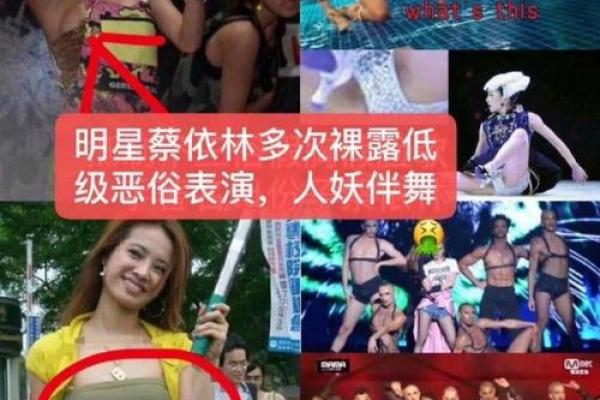 蔡依林紫薇斗数 蔡依林紫薇斗数