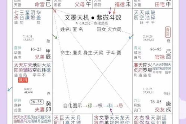 紫薇斗数命盘带帝旺是什么意思 紫薇斗数命盘带帝旺是什么意思