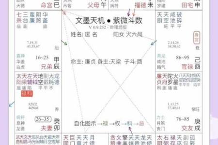 紫薇斗数命盘带帝旺是什么意思